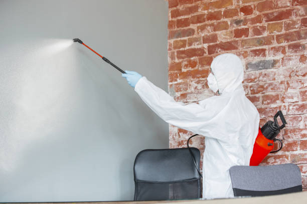Best Residential Mold Inspection & Testing  in Lucasville, OH
