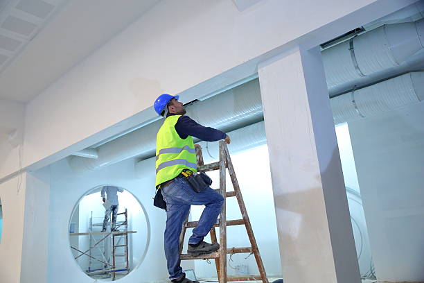 Best Basement Mold Removal  in Lucasville, OH